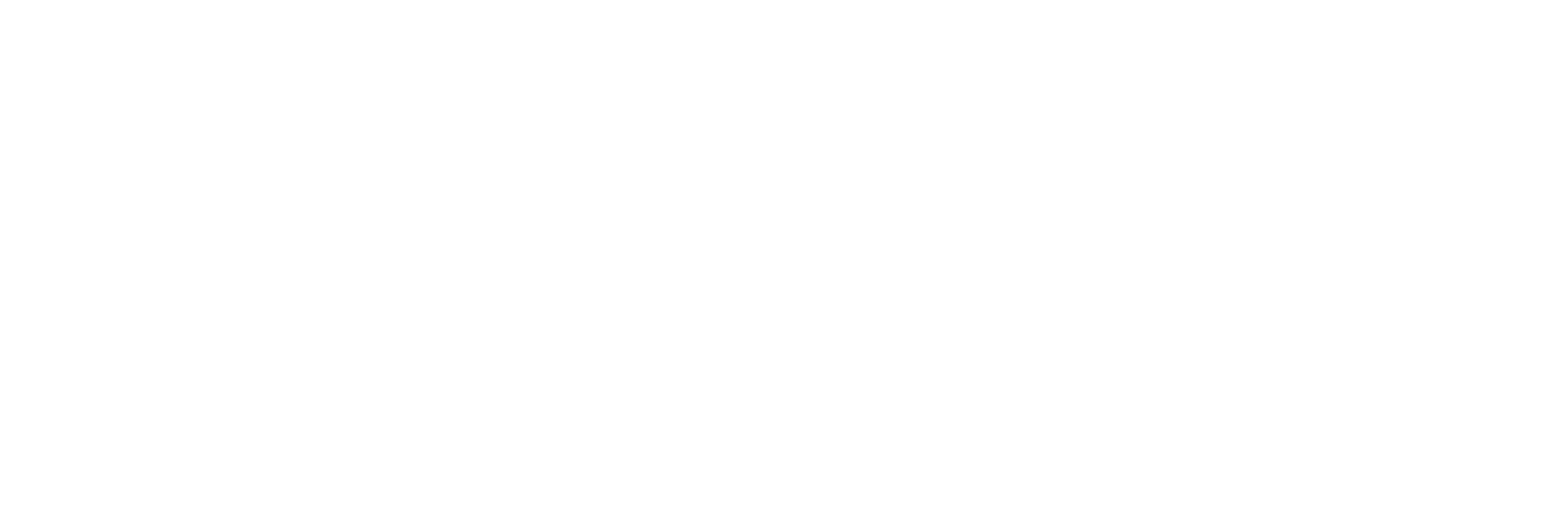 Matrox Video logo