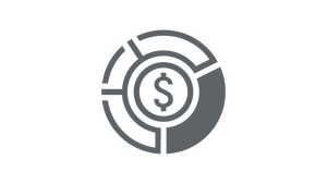 Grey coin icon