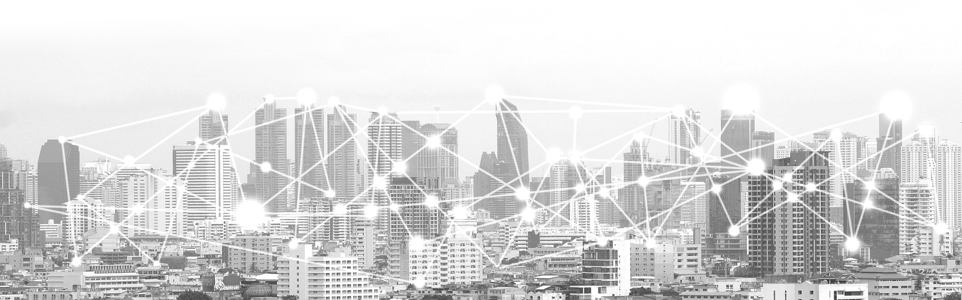 Black and white city skyline with network line vectors