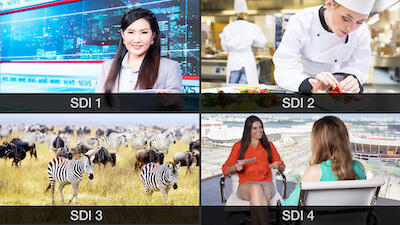 Monarch EDGE SDI tv